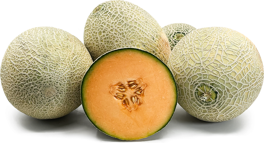 Rock Melons picture