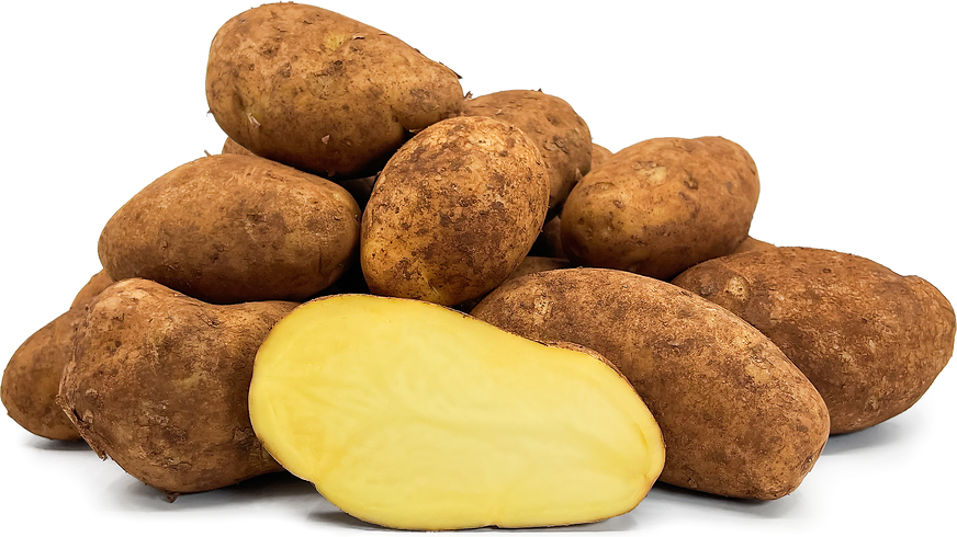 Dutch Cream Potatoes picture