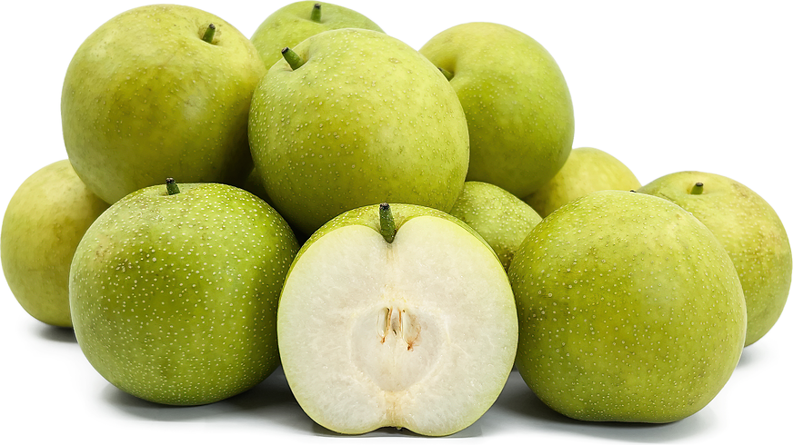 White Nashi Pears picture