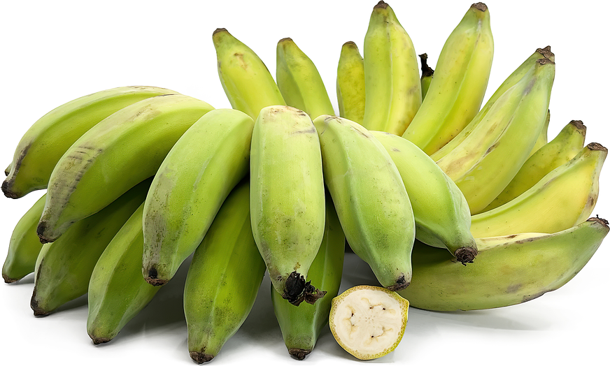 Sugar (Duccase) Bananas picture