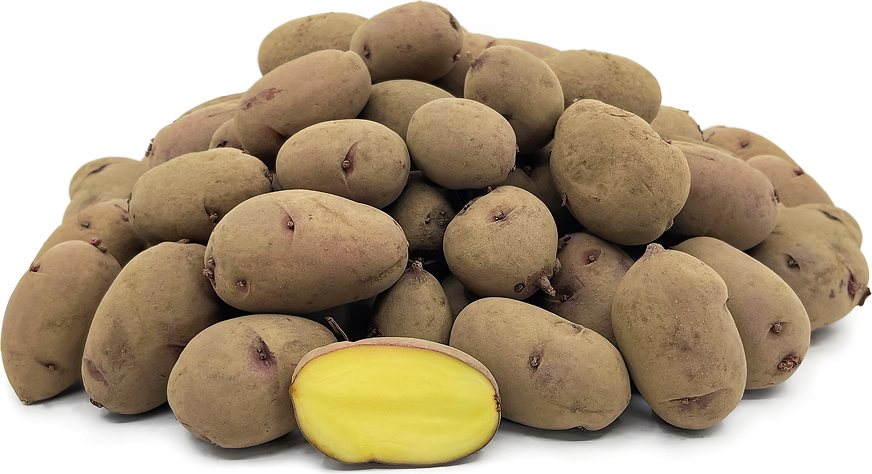 Red Moon Potatoe picture