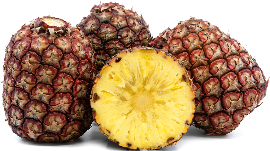Rubyglow® Pineapples picture