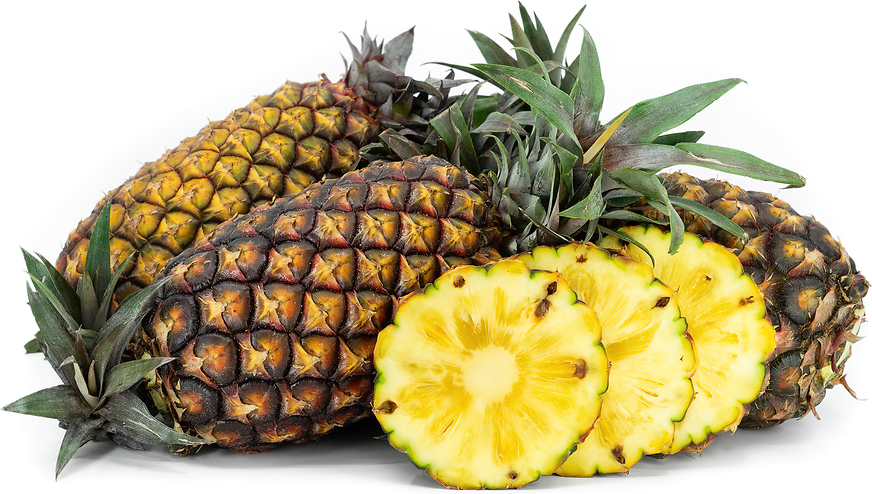 Wild Pineapples picture