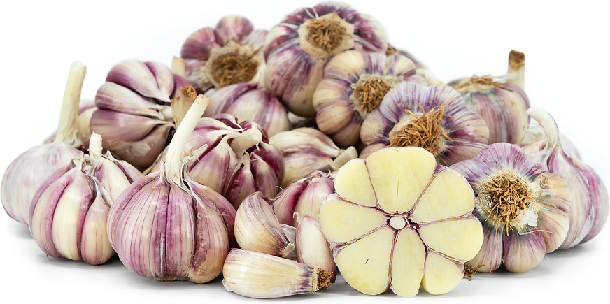 Arequipa Garlic picture