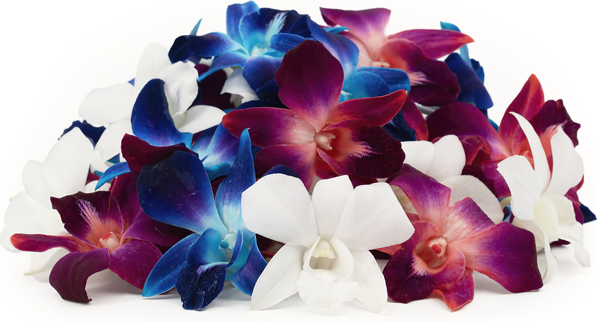 Flowers Orchids Mix Red White Blue picture