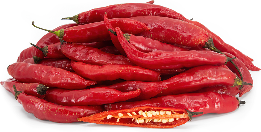 Aji Chichperro Chile Peppers picture