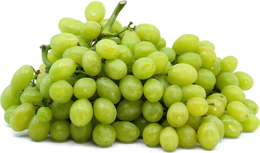 Pizazz Grapes picture