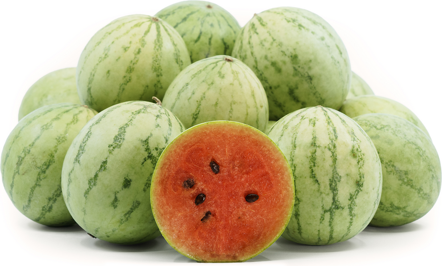 Miniball Watermelon picture