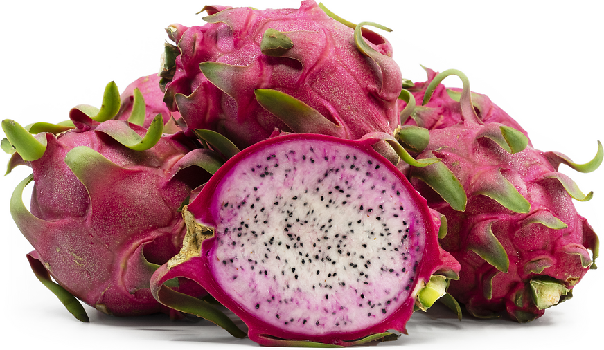 Taiwanese Bicolored Dragon Fruit picture