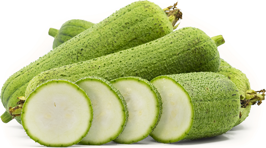 Taiwanese Sponge Gourd picture