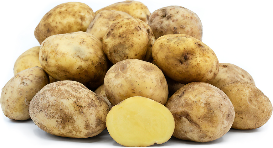 Yellow Finn Potatoes picture