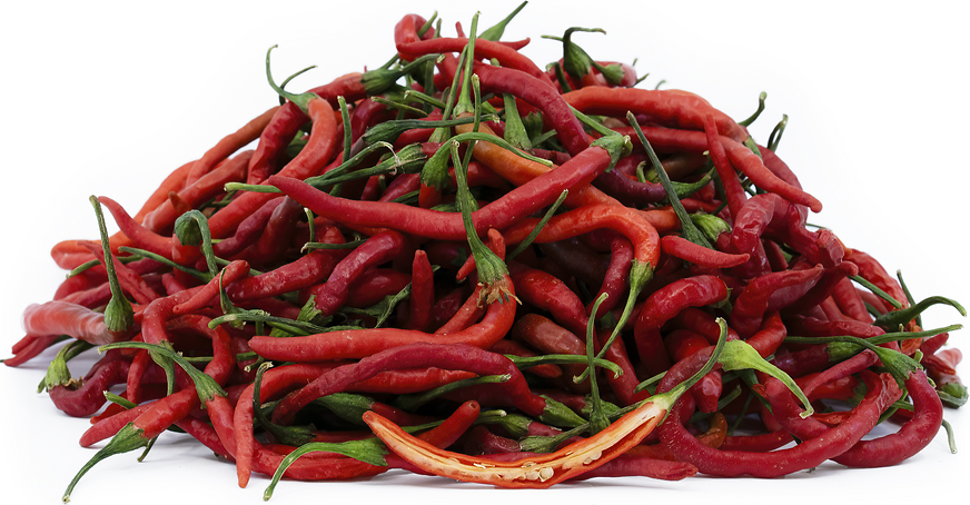 Togarashi Chile Peppers picture