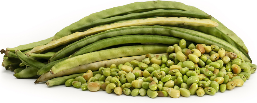 Dixie Lee 23 Peas picture