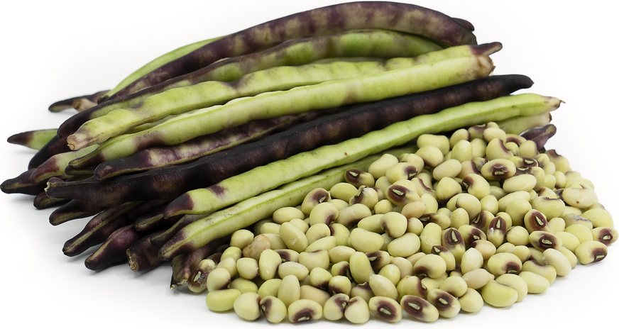 Purple Top Pink-eyed Peas picture