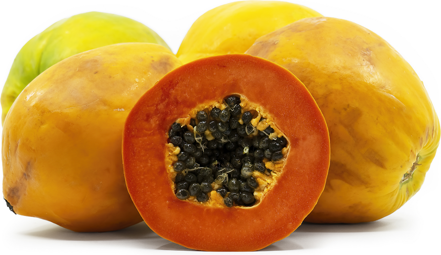 Cretan Papaya picture