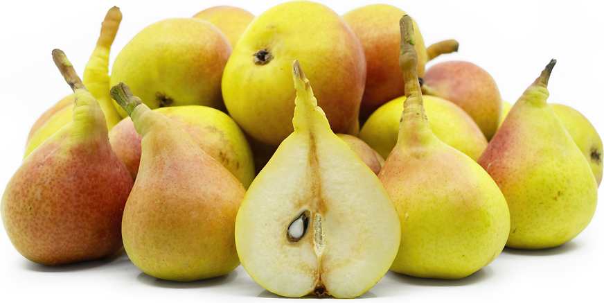 Kontoula Pears picture