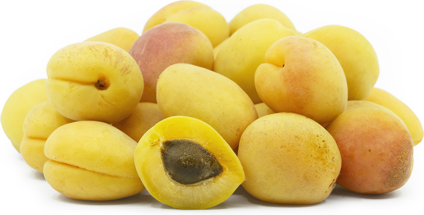 Iranian Apricots picture