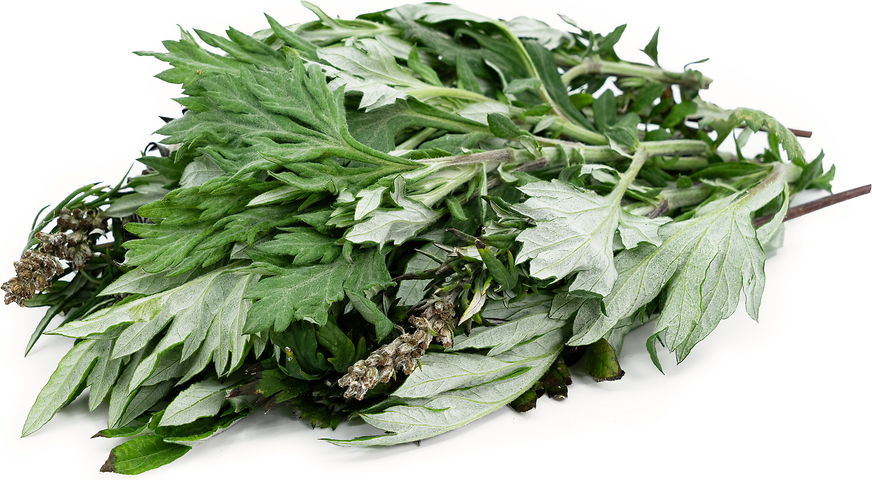 Mugwort Leaves picture