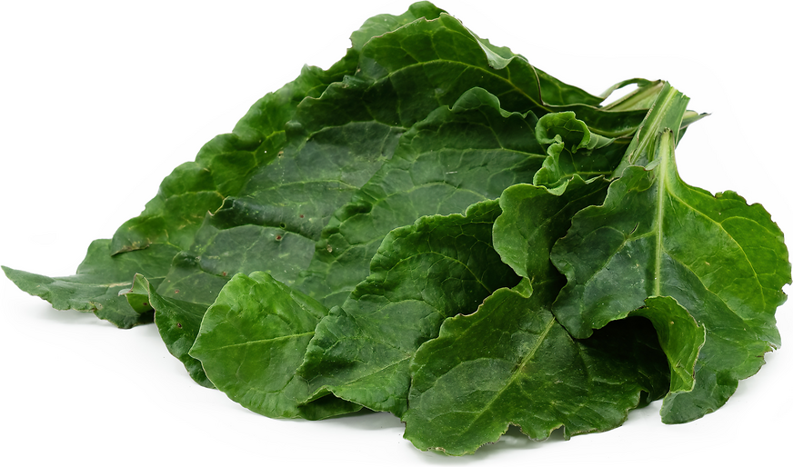 Sea Beet Leaves picture