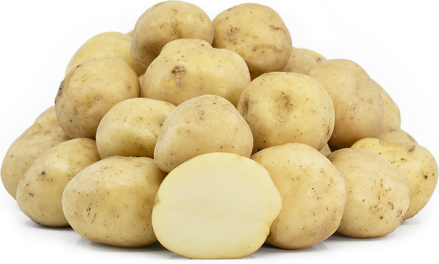 Upstate Abundance Potatoes picture