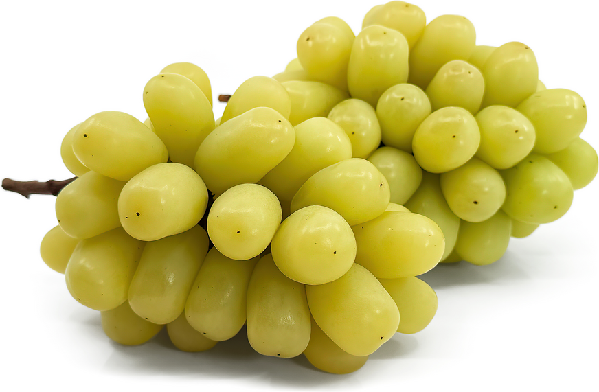 Gold Knight Grapes picture