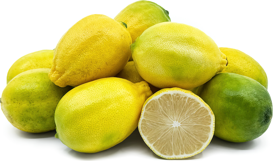 Japanese Rinoka Lemons picture