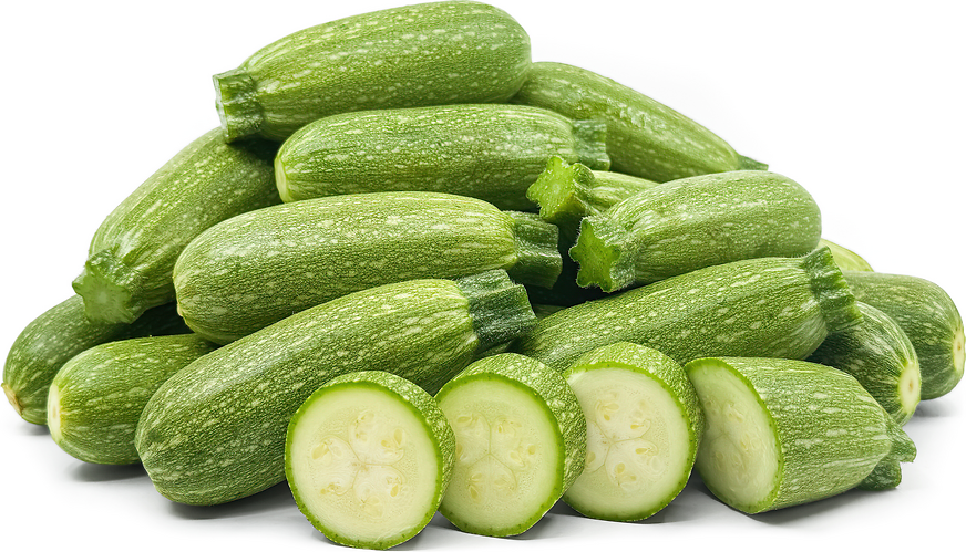 Lebanese Zucchini Squash picture