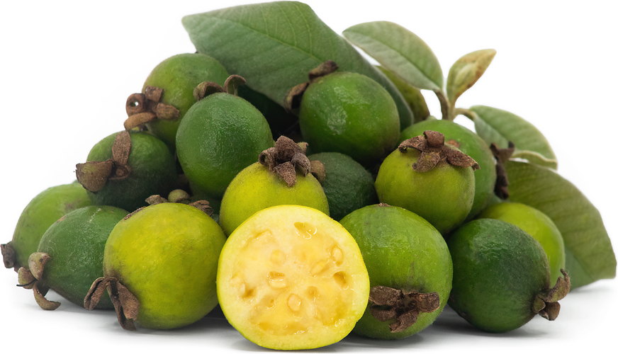 Sabanera Guavas picture