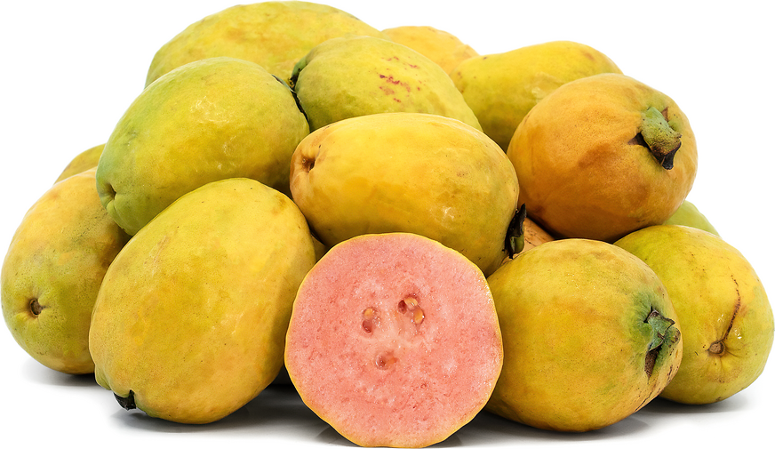 Hong Kong Pink Guavas picture