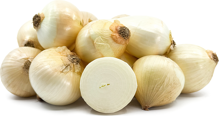 Cevenne Onions picture