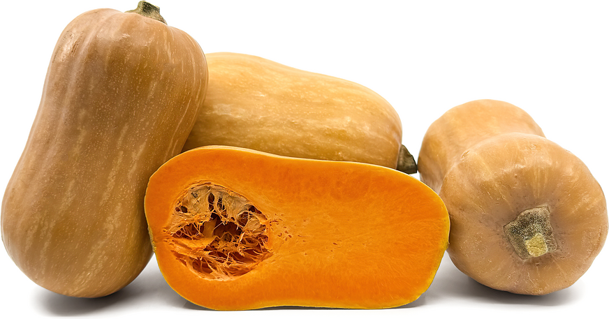 Calabaza Peanut Squash picture