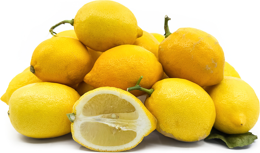 Citron de Nicois Lemons picture