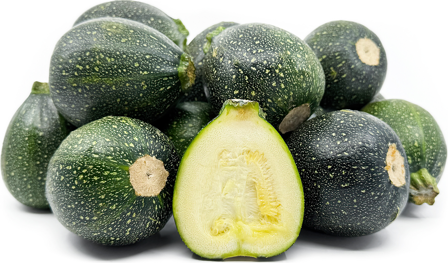 Rondes Squash picture