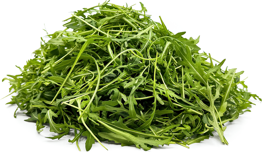 French Roquette Arugala picture