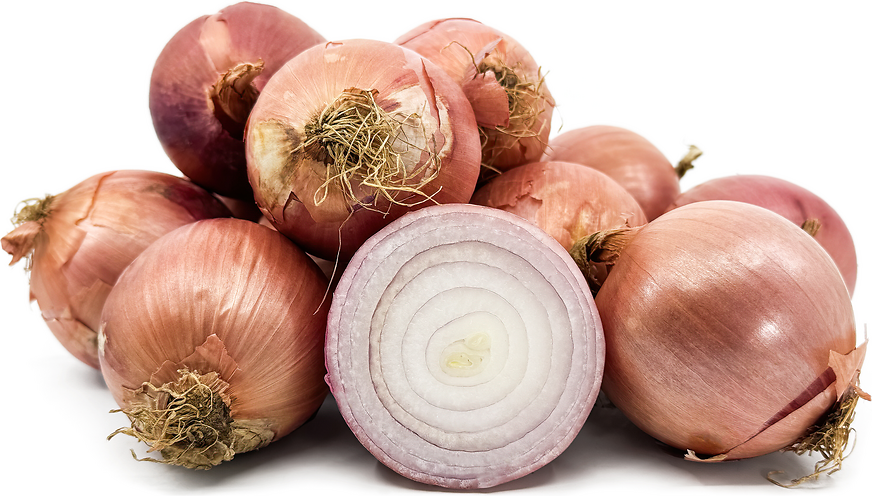 Rose de Champagne Onions picture