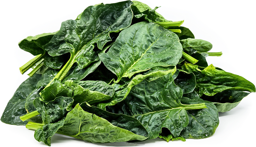 French Spinach picture