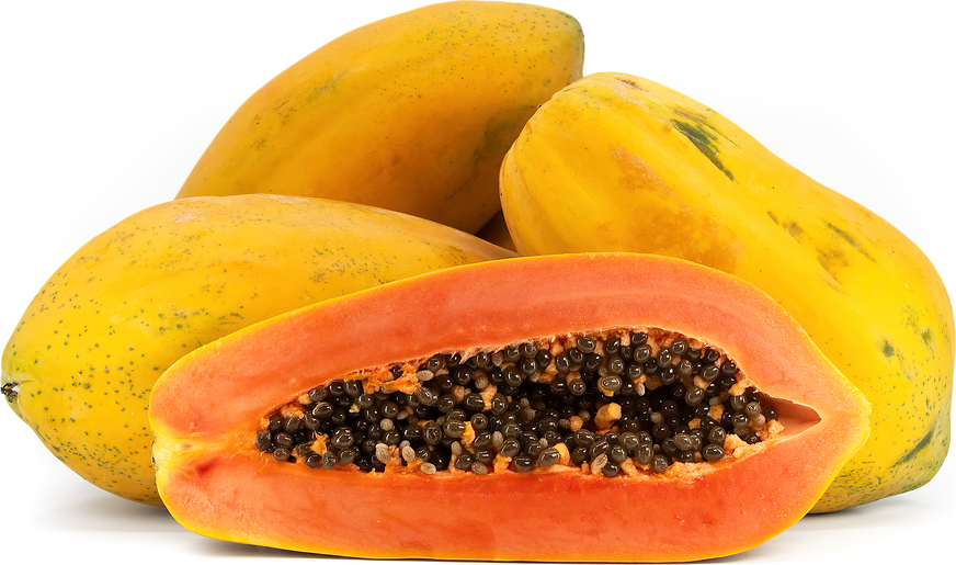 Tainu Papaya picture