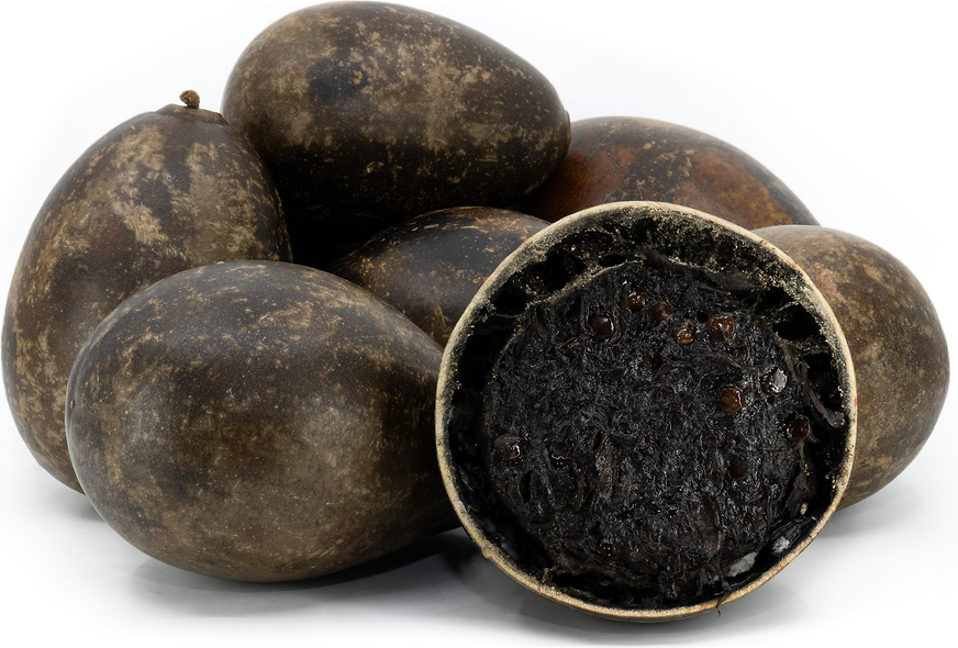 Totumo Fruit picture