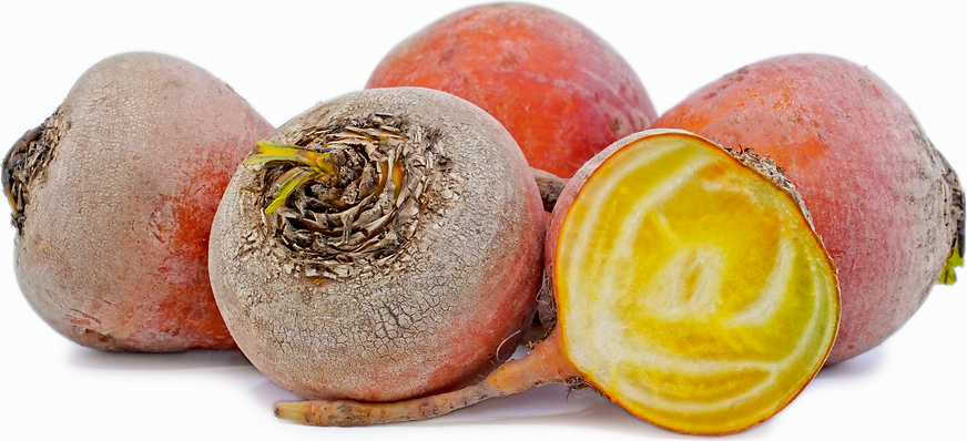 Gold Beets Information and Facts