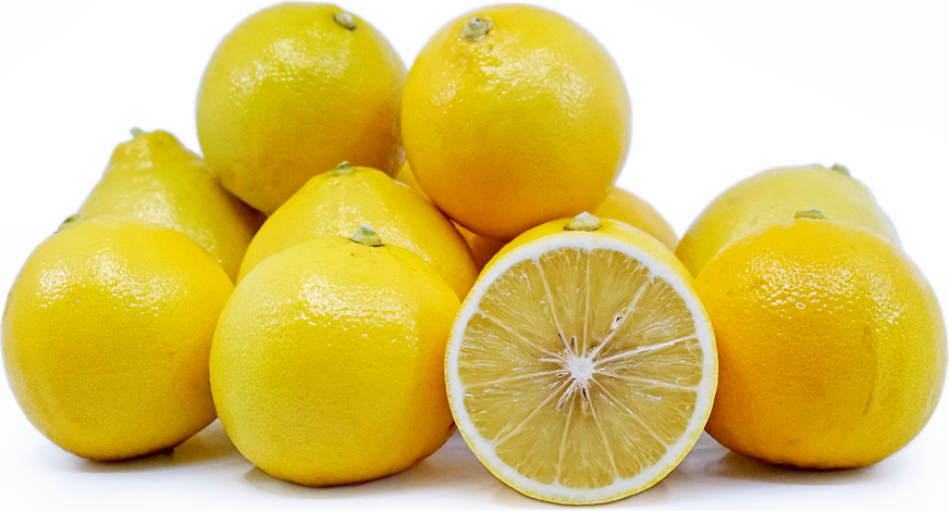 Bergamot Oranges picture