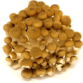 Hon Shimeji (Brown Beech) Mushrooms picture