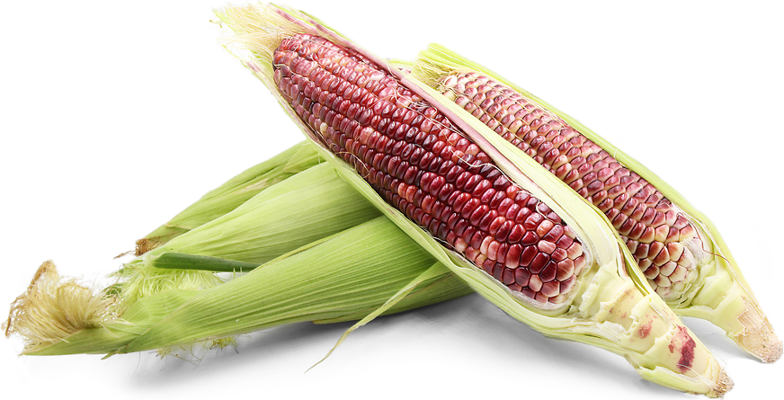Red Corn picture