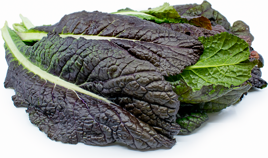 Red Mustard Greens picture