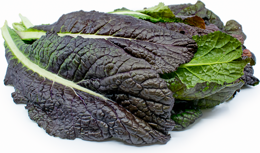 Red Mustard Greens Information and Facts