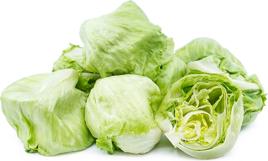 Baby Iceberg lettuce picture