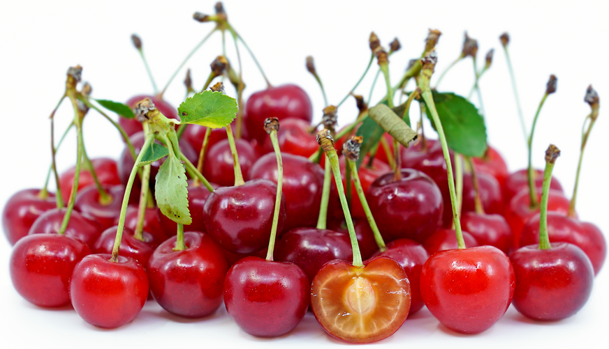 Sour Cherries Information and Facts