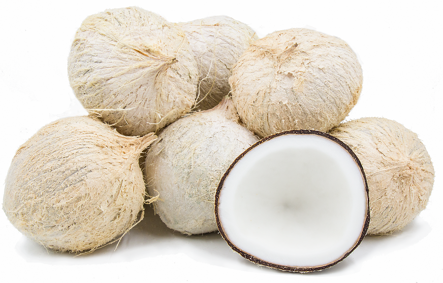 White Coconuts picture
