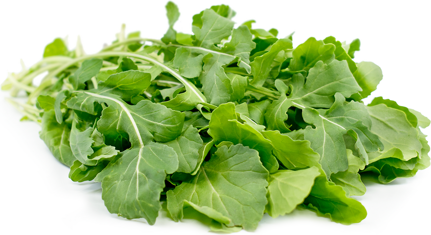 Arugula Information and Facts