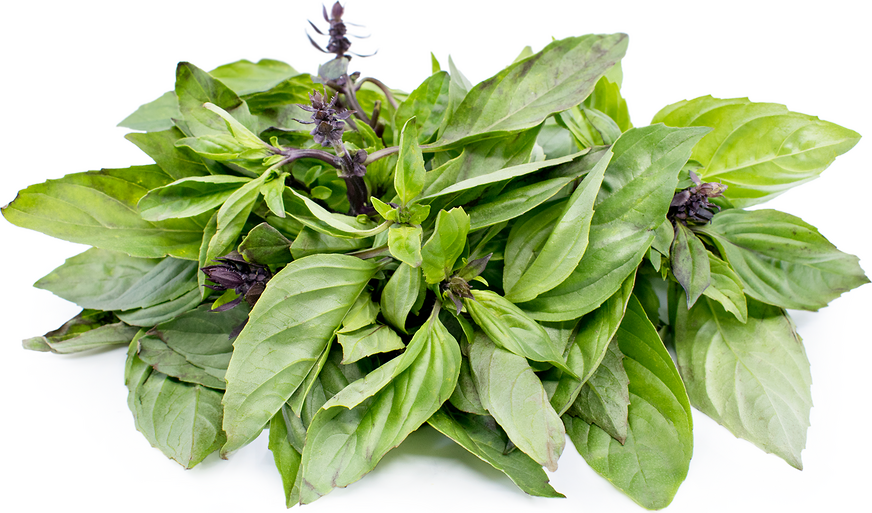 Thai Basil Leaves