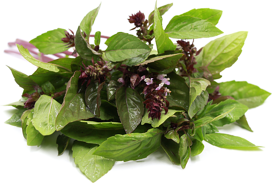 Cinnamon Basil picture